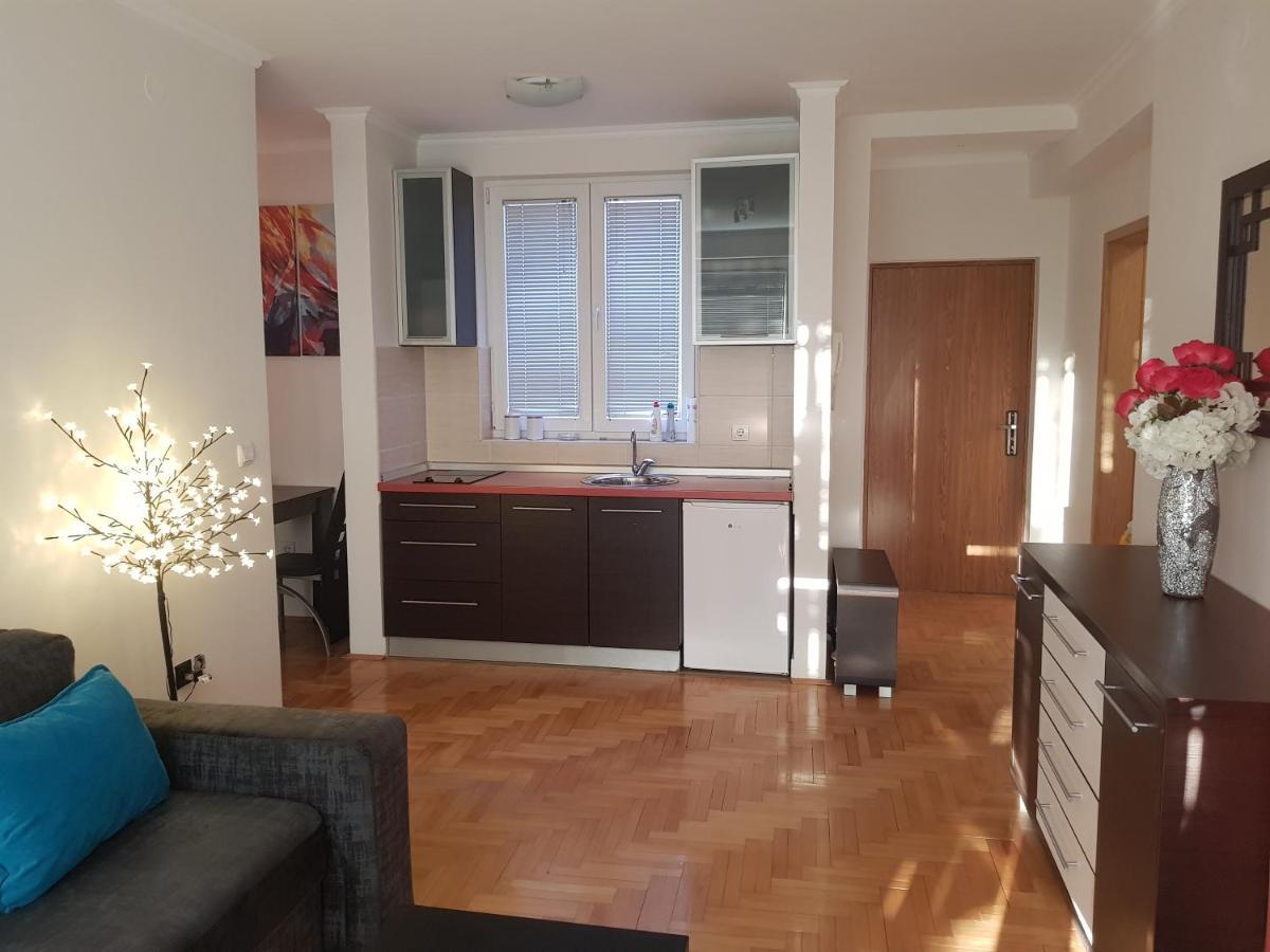 Rajiceva 5- Apartman Sa Prostranom Terasom I Garaznim Mestom Kragujevac Zewnętrze zdjęcie